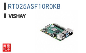 RT025ASF10R0KB