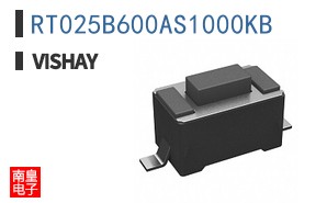 RT025B600AS1000KB