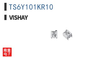 TS6Y101KR10