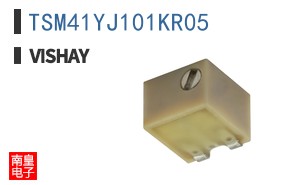 TSM41YJ101KR05