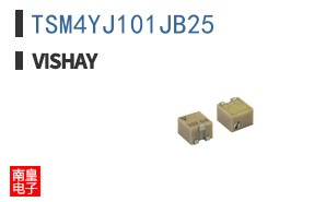 TSM4YJ101JB25