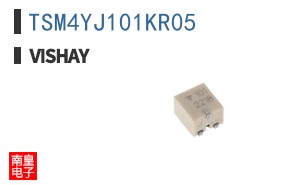 TSM4YJ101KR05