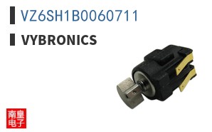VZ6SH1B0060711