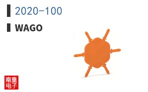 2020-100