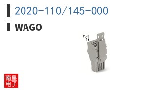 2020-110/145-000