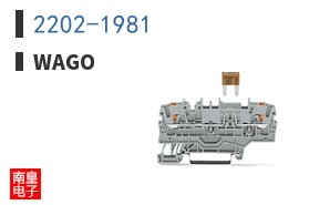 2202-1981