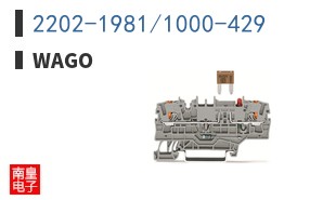 2202-1981/1000-429