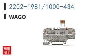 2202-1981/1000-434