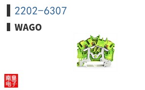 2202-6307