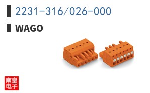 2231-316/026-000