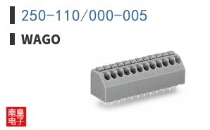 250-110/000-005