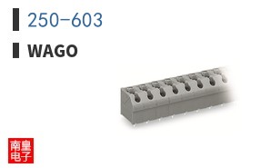 250-603