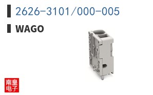 2626-3101/000-005