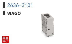 2636-3101
