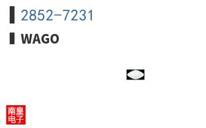 2852-7231