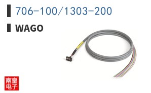706-100/1303-200