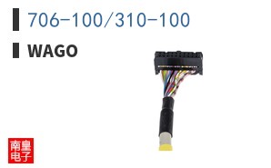 706-100/310-100