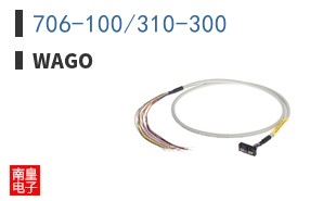 706-100/310-300