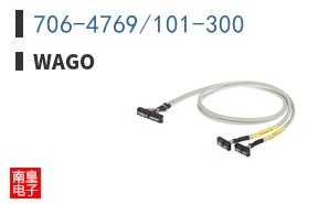 706-4769/101-300