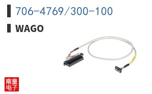 706-4769/300-100