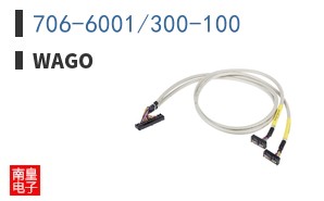 706-6001/300-100