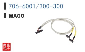 706-6001/300-300