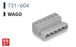 731-604