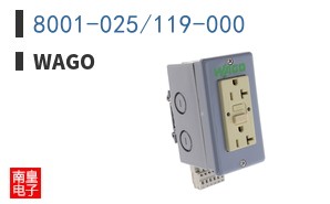 8001-025/119-000