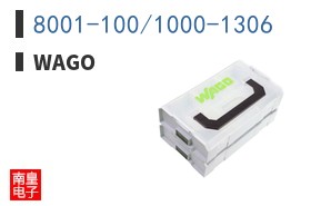 8001-100/1000-1306