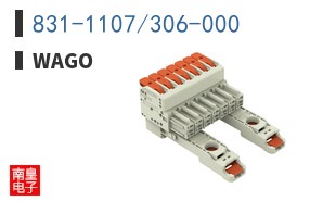 831-1107/306-000