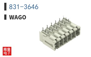 831-3646