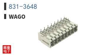 831-3648