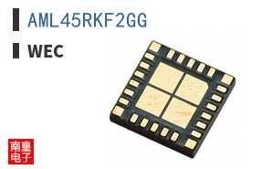 AML45RKF2GG