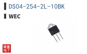 DS04-254-2L-10BK