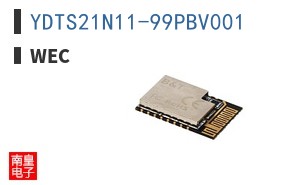 YDTS21N11-99PBV001