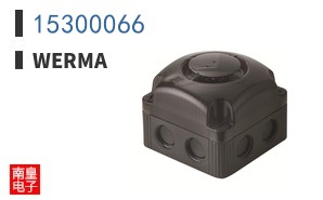 15300066
