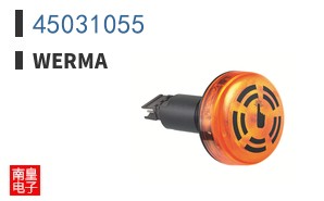 45031055