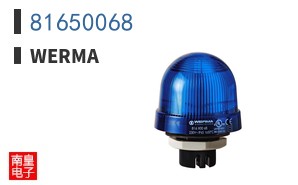 81650068