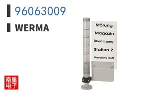 96063009