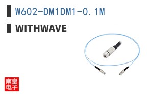W602-DM1DM1-0.1M