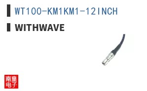 WT100-KM1KM1-12INCH