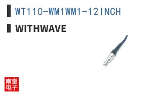 WT110-WM1WM1-12INCH