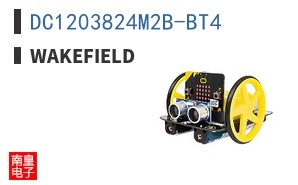 DC1203824M2B-BT4