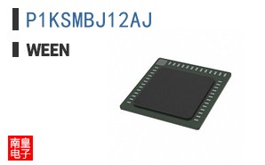 P1KSMBJ12AJ