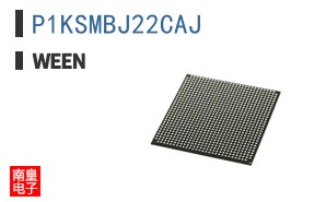 P1KSMBJ22CAJ