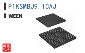 P1KSMBJ9.1CAJ