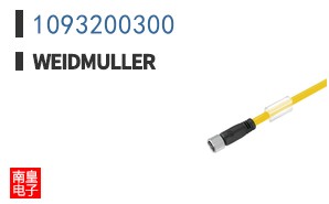 1093200300