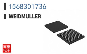 1568301736