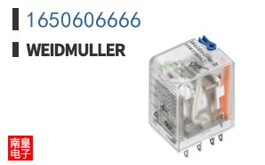 1650606666