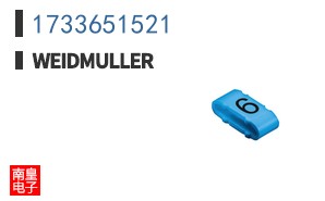 1733651521